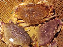 -拉完海鲜大排档(温岭店)