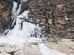 -黑龙潭风景区