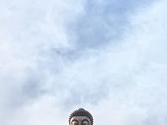 -龙口南山旅游景区