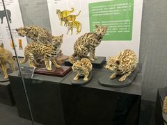 -昆明动物博物馆