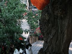 -萤火虫咖啡(后海店)