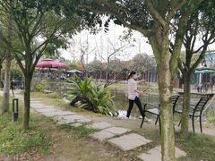 -洪湖家庭农场·团建·露营·会议