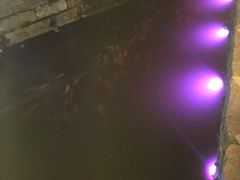 -黎阳老街