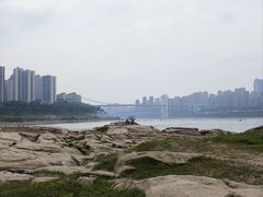 -菜园坝水果市场