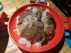 空运绿毛肚-金辣椒火锅(盘古路店)