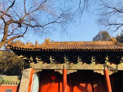 -北京国子监胡同
