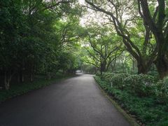 -杭州香格里拉饭店