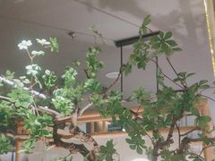 -绿茶餐厅(龙湖杭州金沙天街店)