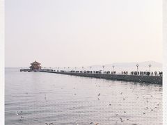 -栈桥景区