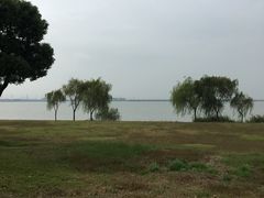 -漕湖湿地公园