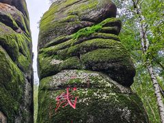 -汤旺河林海奇石景区