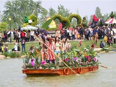 -荷兰花海