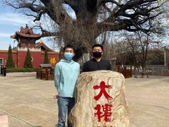 -大槐树寻根祭祖园