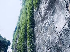 -书隐楼