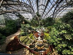 -南山植物园