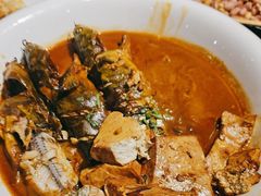 嘎鱼炖豆腐-鸽子窝(青塔店)