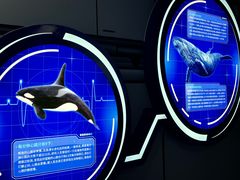 -海合安武汉极地海洋公园