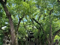 -蒋氏故居