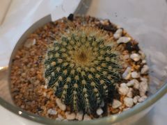 -Fridi Patisserie Cafe