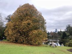 -墨尔本皇家植物园