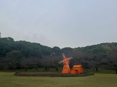 -苏州上方山国家森林公园