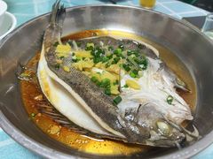 -石岐乳鸽村(桥观坊南四巷店)