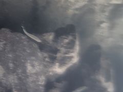 -安吉龙王山峡谷漂流