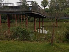 -白鹭湾湿地公园