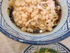 -朱洪元苏式面馆(绿宝广场店)