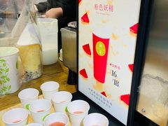 -树夏(建设路店)