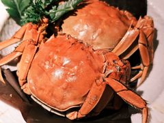 -牛New寿喜烧(金茂览秀城店)