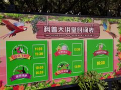 -广州长隆飞鸟乐园