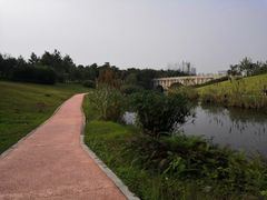-眉山湿地公园(东坡区)