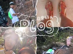 -呀诺达热带雨林