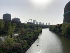 -皇粮浜湿地公园