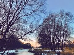 -灞河西岸滨河公园