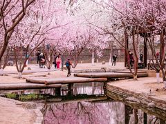 -三里河公园