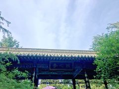 -黄帝陵