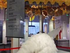 -珠海市博物馆
