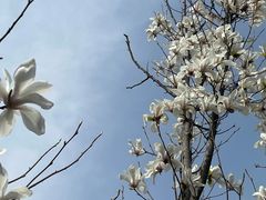 -洨河生态公园