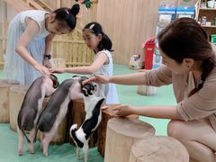 -藦茜花园宠物主题亲子互动体验馆(国顺东路店)