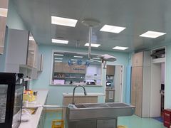 -北京观赏动物医院·24小时大型综合·猫专科·异宠专科