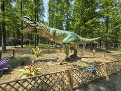 -黄海国家森林公园