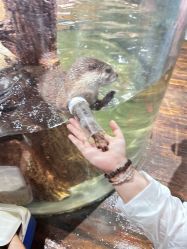 -Zoolung Zoolung动物主题公园(海信广场店)