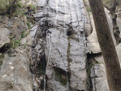 -王顺山国家森林公园