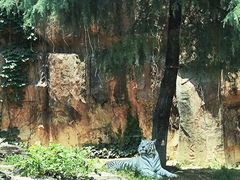 -杭州野生动物世界