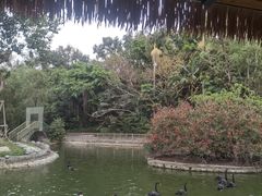 -深圳野生动物园