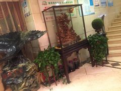 -皇朝海鲜酒店