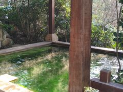 -天目湖涵田半山温泉