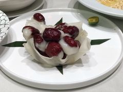 红衣少女-蝶园·装修中(BFC外滩金融中心店)